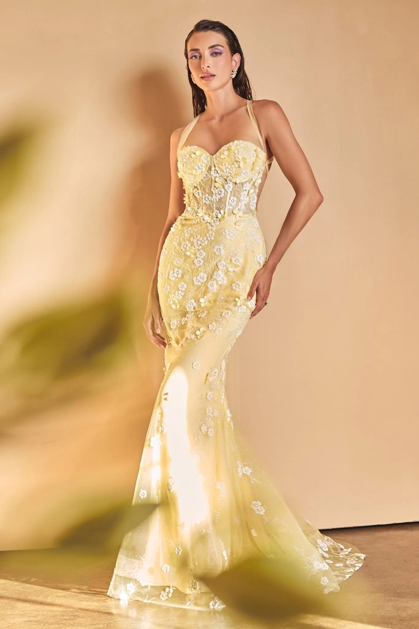 A1115 - Andrea & Leo Dress
