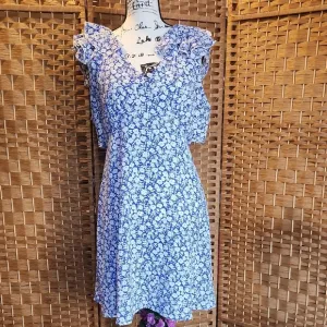 Altard State, Spring, Summer, Ruffled Sleeves, Floral Blue and White Dress SZ XL
