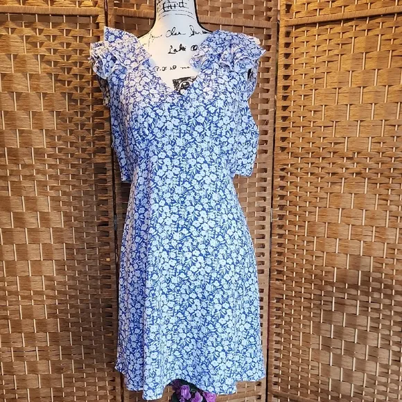 Altard State, Spring, Summer, Ruffled Sleeves, Floral Blue and White Dress SZ XL