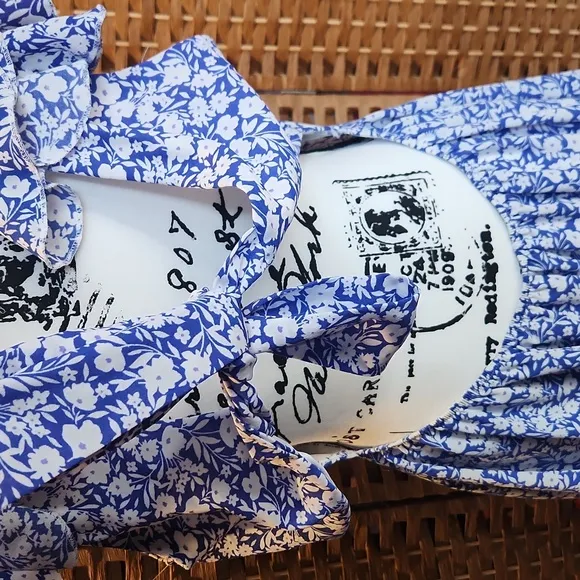 Altard State, Spring, Summer, Ruffled Sleeves, Floral Blue and White Dress SZ XL