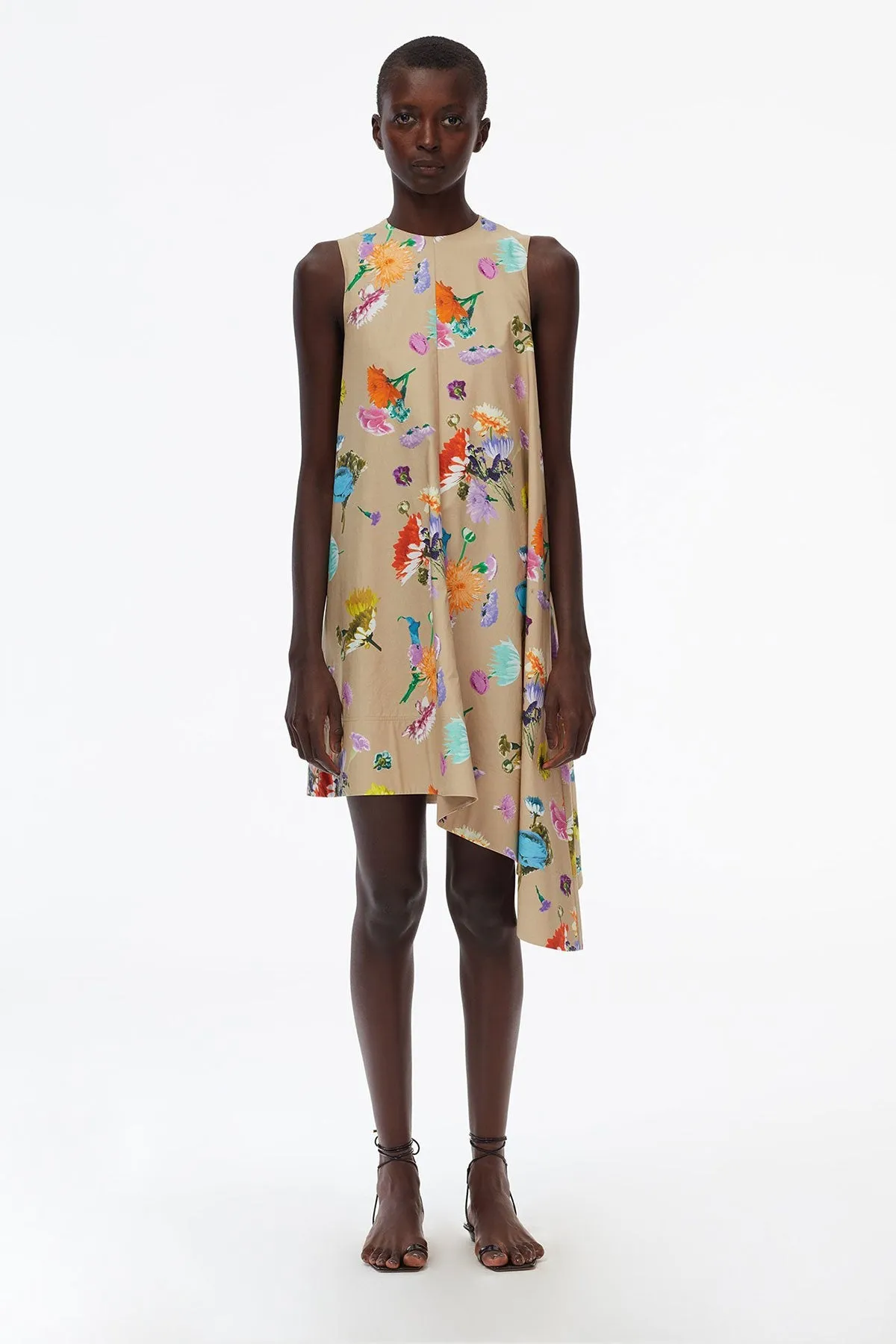 Arya Print Sleeveless Dress