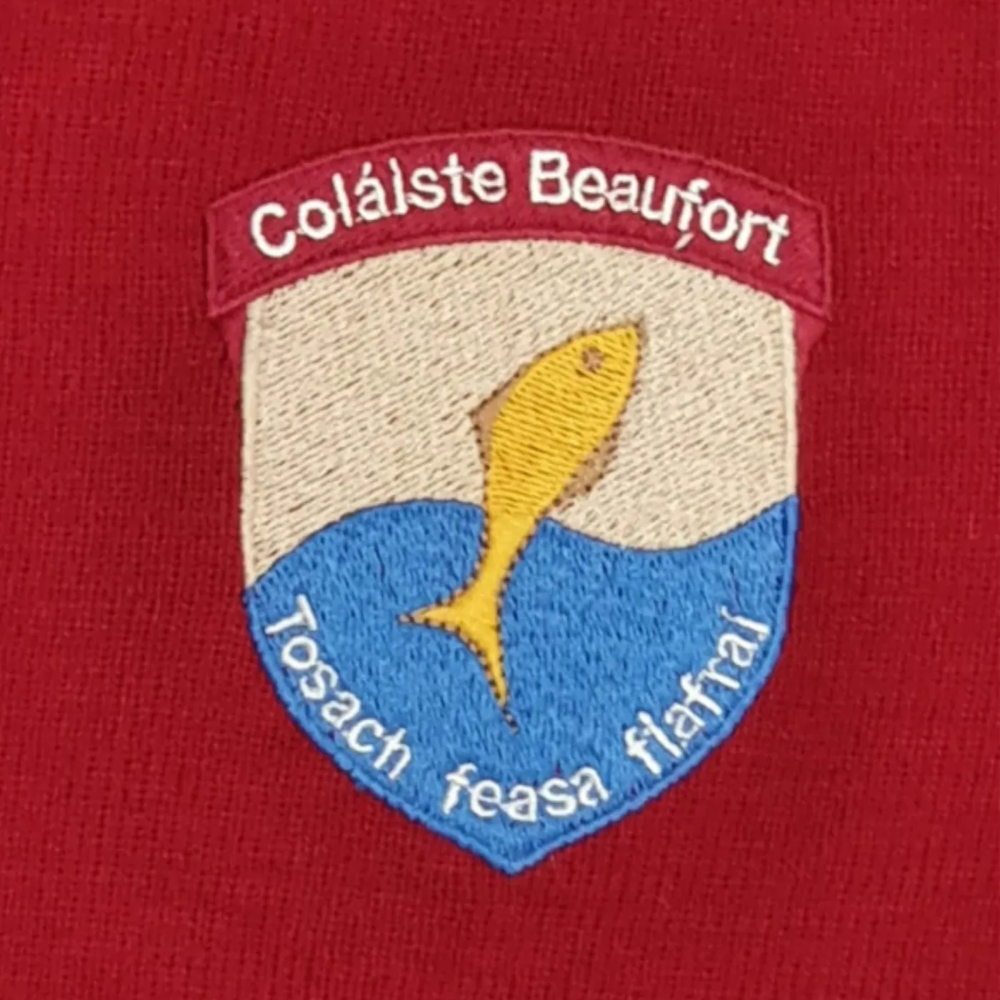 Beaufort College Junior Jumper | Cotton-Acrylic