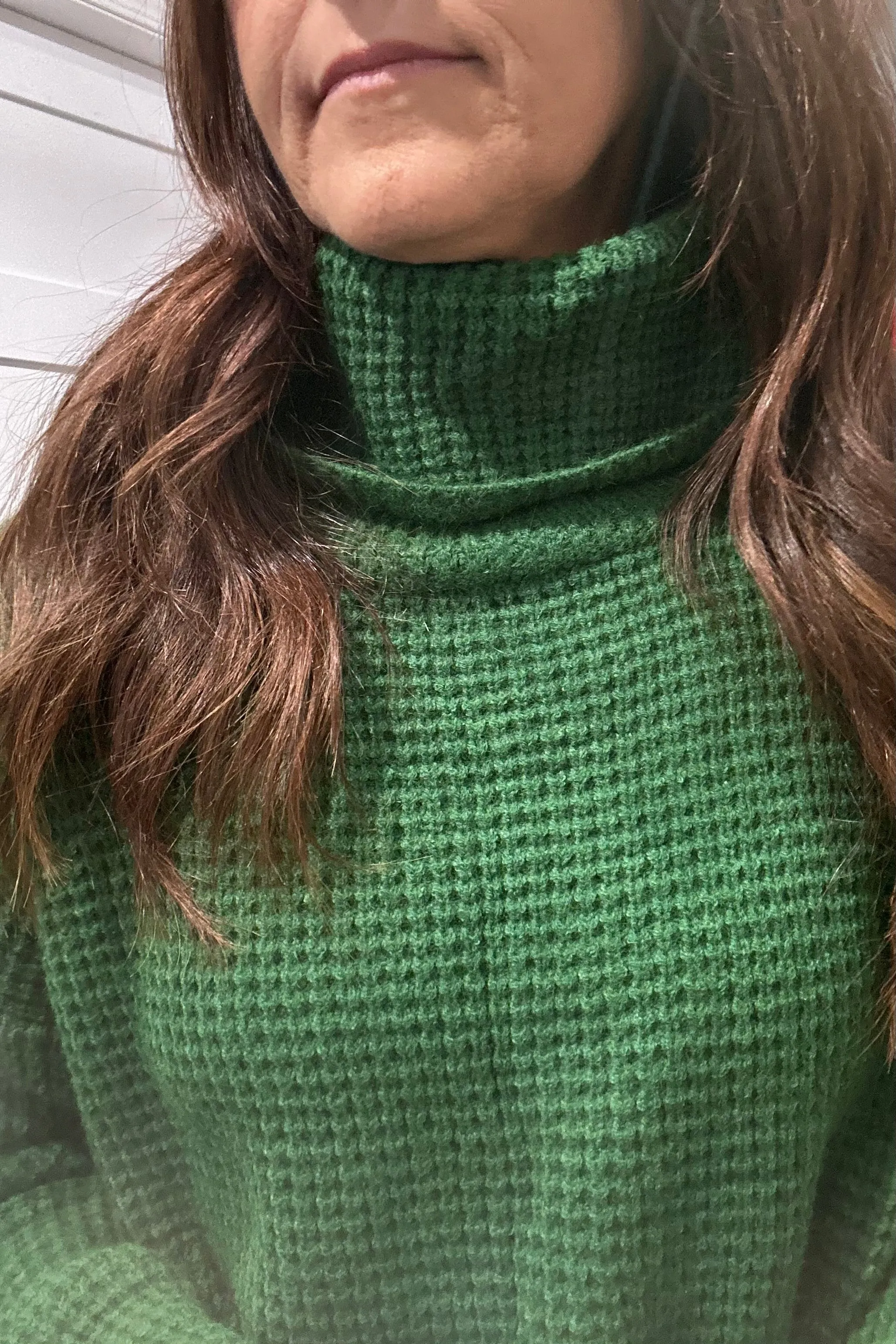 Bre Green Turtleneck Sweater
