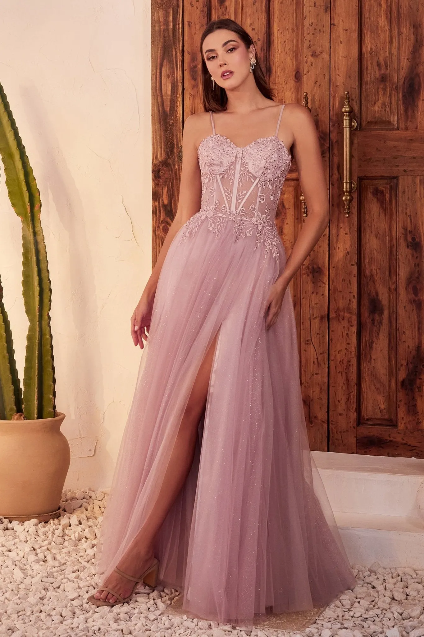 C150 - Ladivine By Cinderella Divine Dress