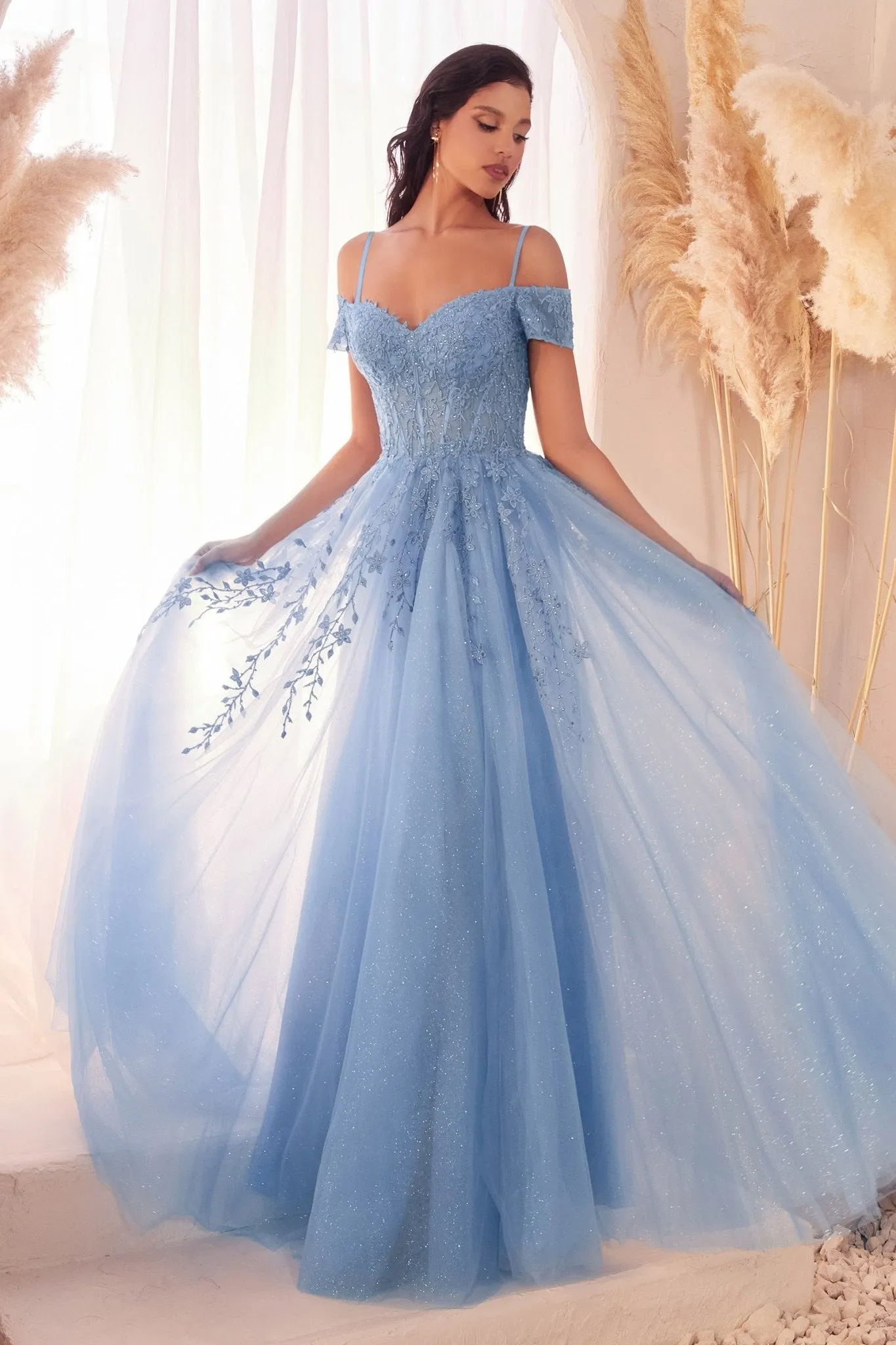 C154 - Ladivine by Cinderella Divine Dress