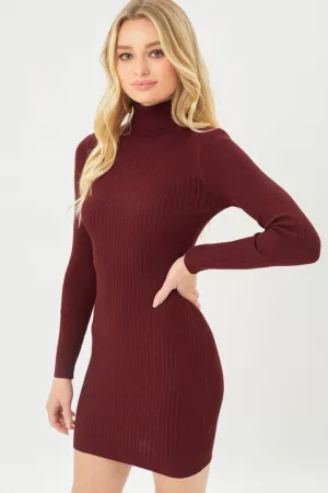Fine Yarn Turtle Neck Dress