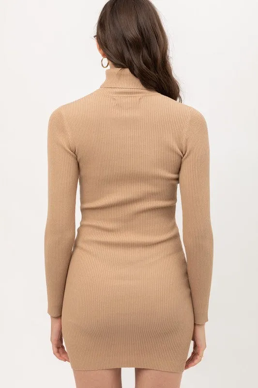 Fine Yarn Turtle Neck Dress