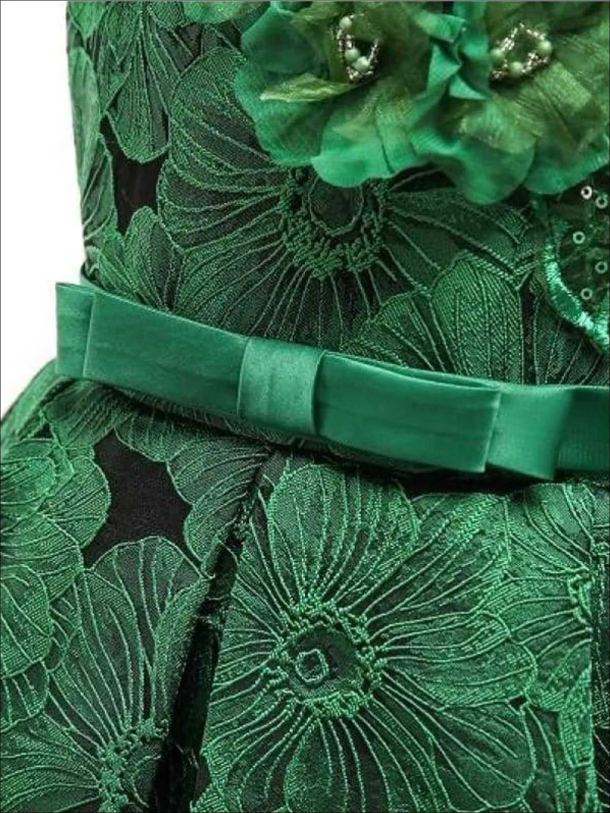 Girls Floral Print Pleated Tulle Holiday Dress