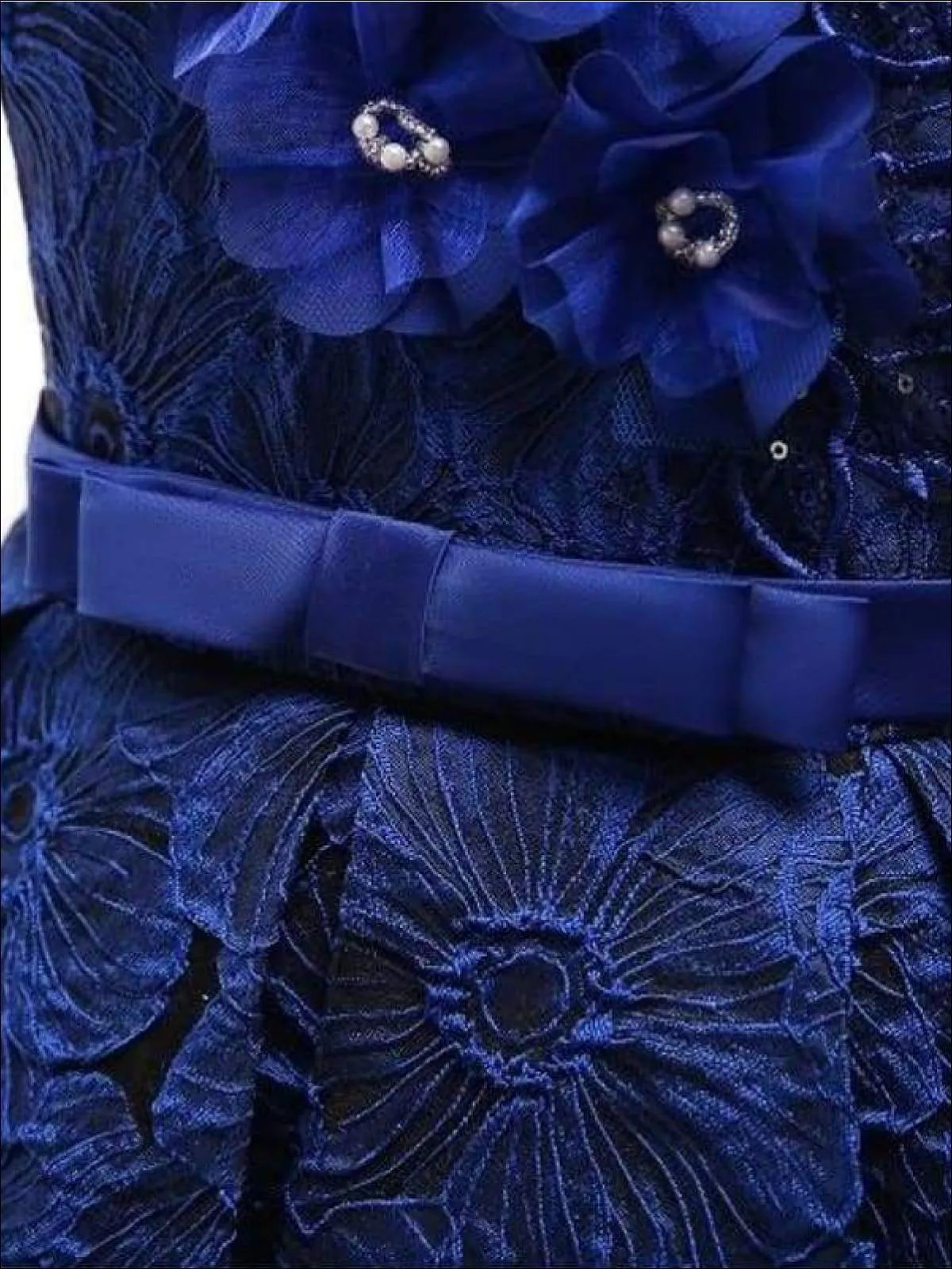 Girls Floral Print Pleated Tulle Holiday Dress