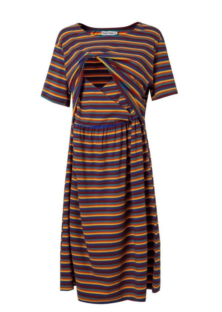 Hazel Stripe Skater Breastfeeding Dress