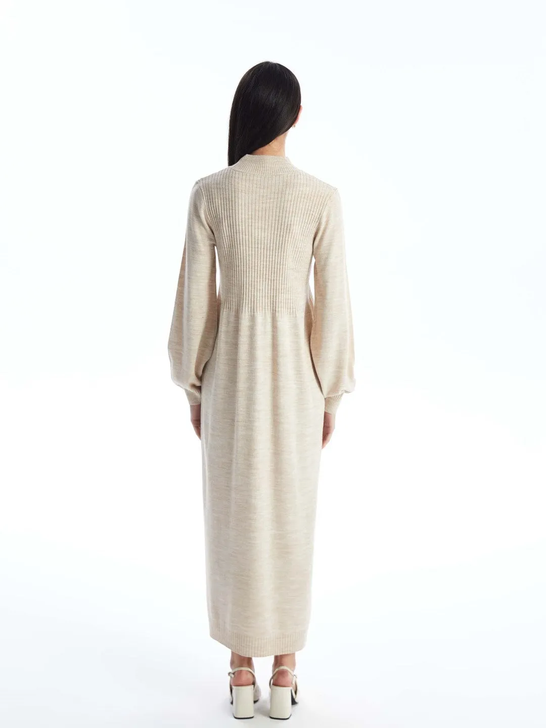 LCW Modest

Black Half Turtleneck Plain Long Sleeve Women's Knit Dress
