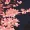 Navy Front Button Floral Dress