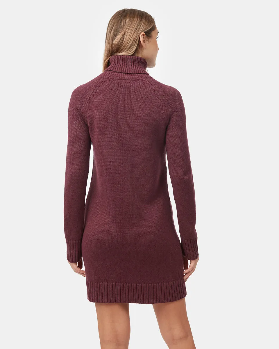 Tentree Highline Turtleneck Dress