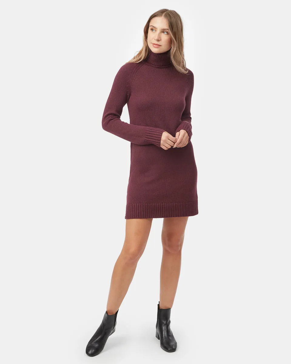 Tentree Highline Turtleneck Dress