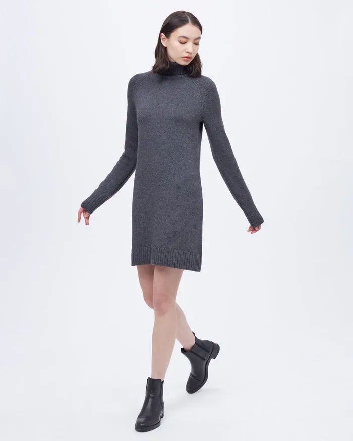 Tentree Highline Turtleneck Dress