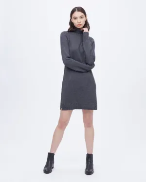 Tentree Highline Turtleneck Dress