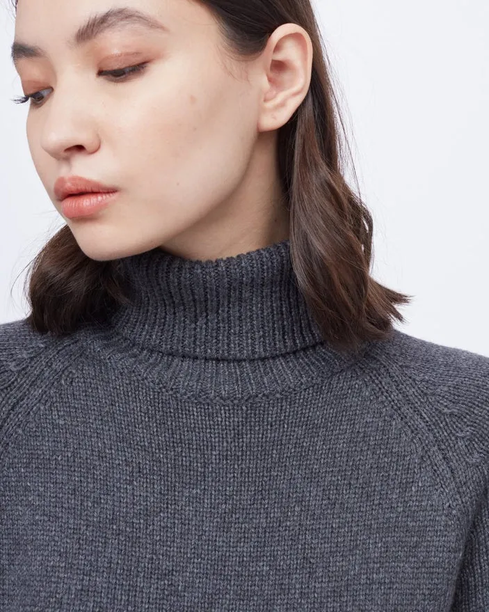 Tentree Highline Turtleneck Dress